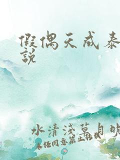 假偶天成泰国小说