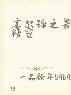 赛尔号之最强小精灵