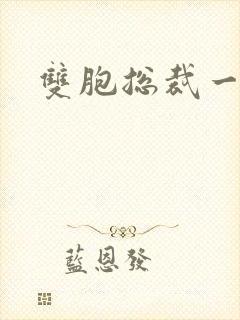 双胞总裁一个妻