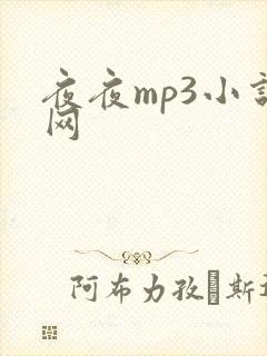 夜夜mp3小说网
