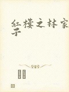 红楼之林家庶长子