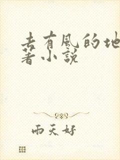去有风的地方原著小说