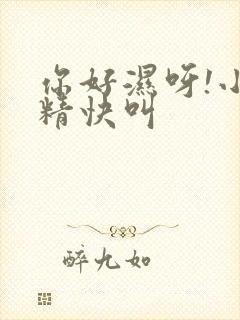 你好湿呀!小妖精快叫