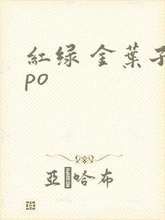 红绿 金叶子 po