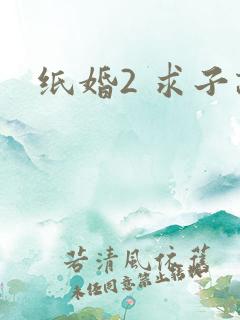 纸婚2 求子记