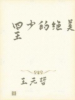 四少的绝美宠公主