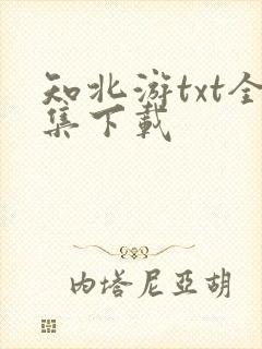 知北游txt全集下载