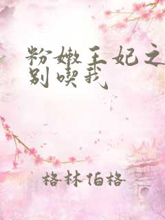 粉嫩王妃之殿下别吃我