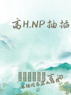 高H.NP抽插