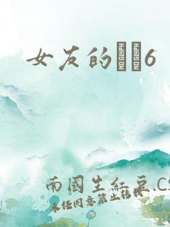 女友的妺妺6