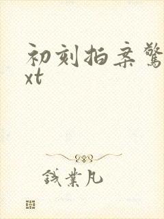 初刻拍案惊奇txt