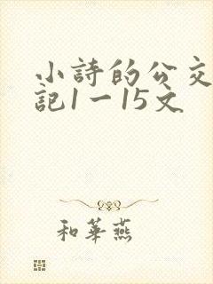 小诗的公交车日记1一15文