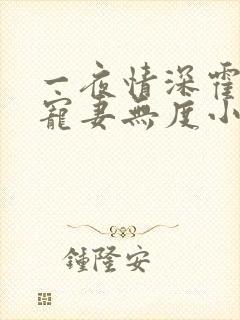 一夜情深霍先生宠妻无度小说免费阅读