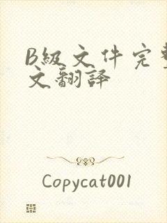 B级文件完整中文翻译