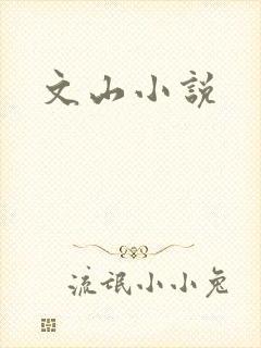文山小说