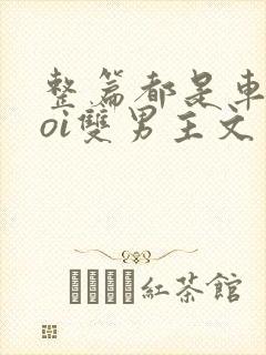 整篇都是车的doi双男主文