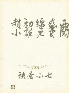 赵初绵盛西舫的小说免费阅读