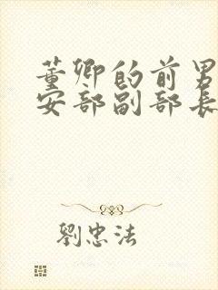 董卿的前男友公安部副部长