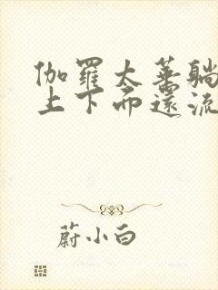 伽罗太华躺在床上下面还流东西