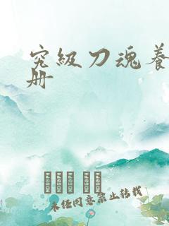 究级刀魂养成手册