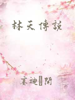 林天传说