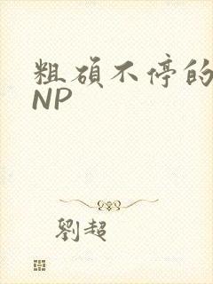 粗硕不停的进出NP