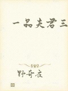 一品夫君三流妻