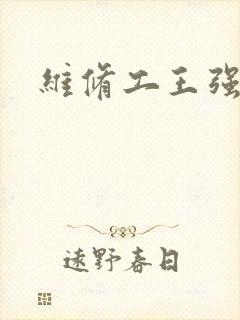 维修工王强张婷