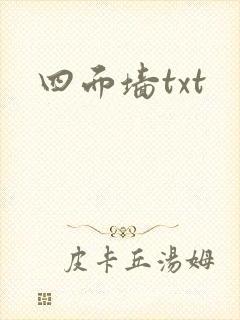 四面墙txt