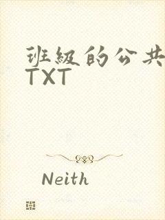 班级的公共玩具TXT