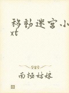 移动迷宫小说txt