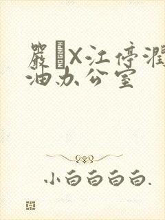 严峫X江停润滑油办公室