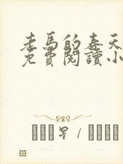 老马的春天全文免费阅读小说