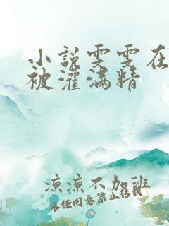 小说雯雯在工地被灌满精