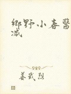 乡野小春医无删减