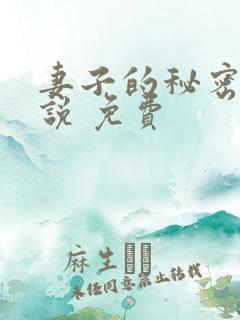 妻子的秘密 小说 免费