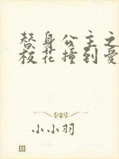 替身公主之杀手校花撞到爱