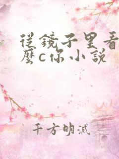 从镜子里看我怎么c你小说