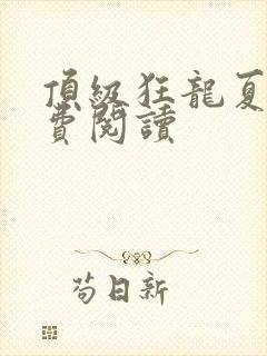 顶级狂龙夏天免费阅读