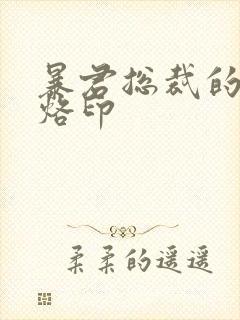 暴君总裁的狂烈烙印