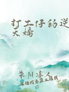 打工仔的逆袭楚天娇