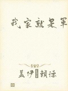 我家就是军火铺