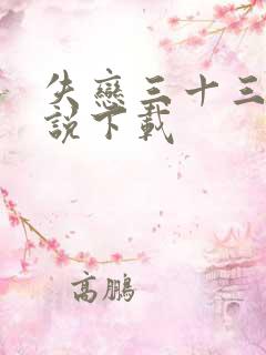 失恋三十三天小说下载