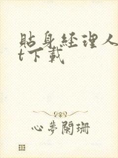 贴身经理人txt下载