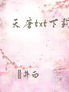 天唐txt下载