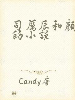司厉辰和颜辞兮的小说
