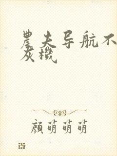 农夫导航不要打灰机