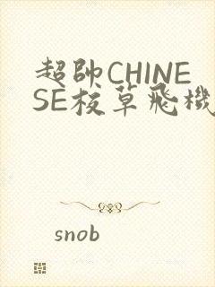 超帅CHINESE校草飞机BLUE