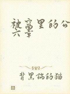 被窝里的公息第六章