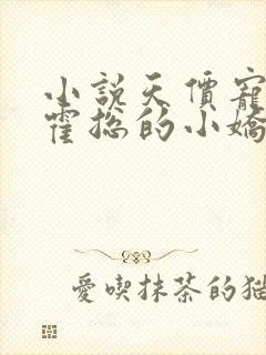 小说天价宠妻:霍总的小娇妻